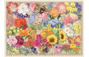 Thumbnail of blooming-beautiful--------1000_344722.jpg