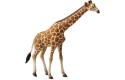 Thumbnail of collecta-reticulated-adult-giraffe_561588.jpg