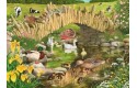 Thumbnail of house-of-puzzles-duck-duck-goose-big-250-piece_376023.jpg