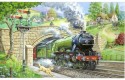 Thumbnail of house-of-puzzles-train-spotting-big-250-piece-jigsaw-puzzle_583484.jpg