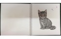 Thumbnail of top-model-create-your-kitty-colouring-book-12282-a_492267.jpg