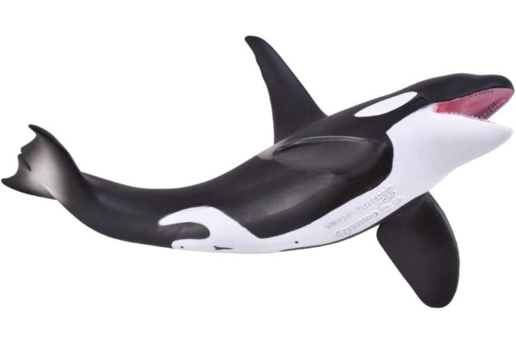 CollectA  Orca killer whale 