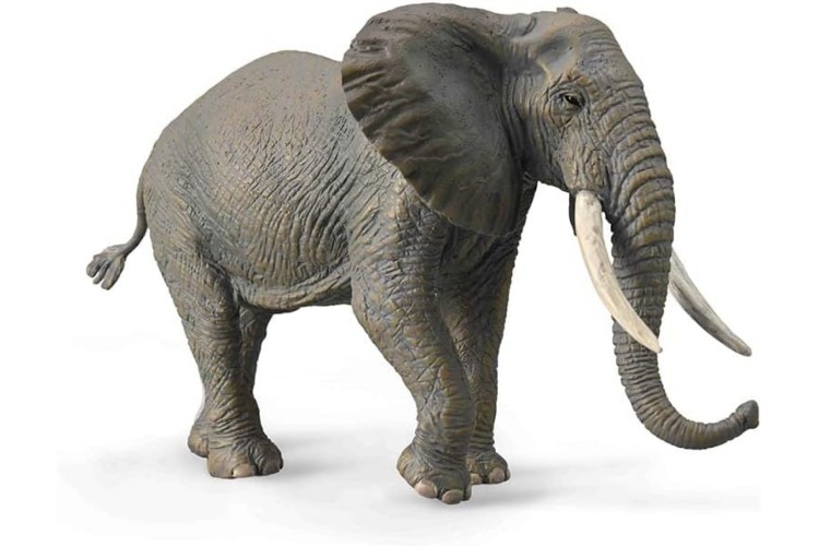 CollectA African bush Elephant figure 