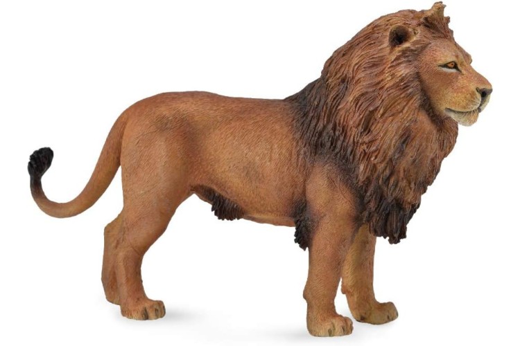 CollectA African Lion figure
