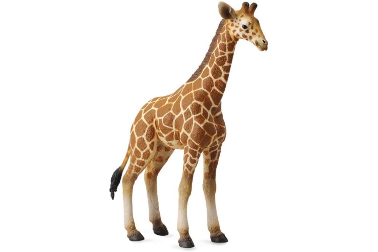 CollectA Giraffe calf 