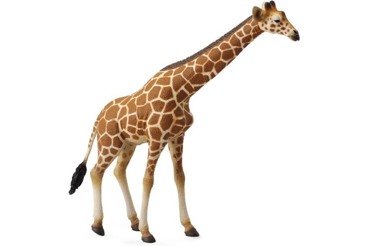 CollectA Reticulated Adult Giraffe 
