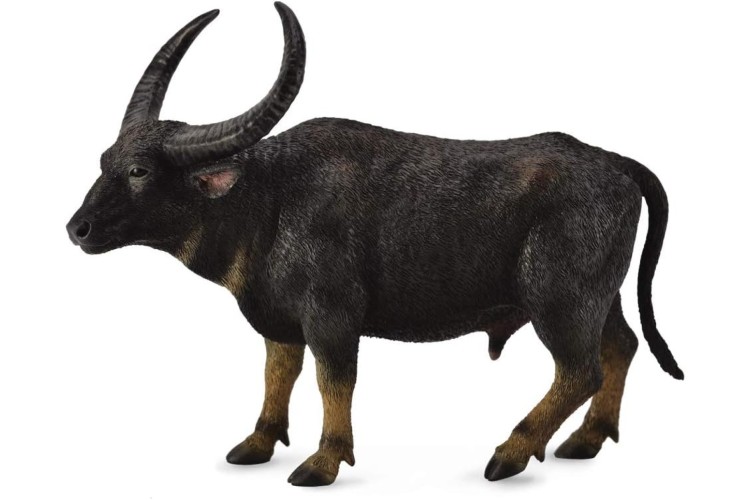 CollectA Wild Water Buffalo figure