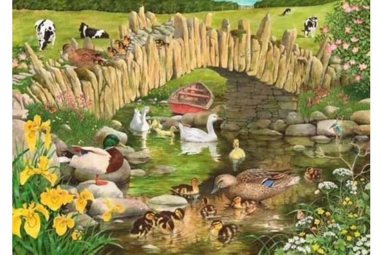 House of Puzzles Duck,duck,goose Big 250 piece