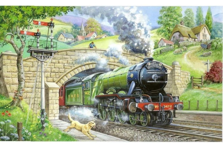 House of Puzzles Train Spotting Big 250 piece Jigsaw puzzle 